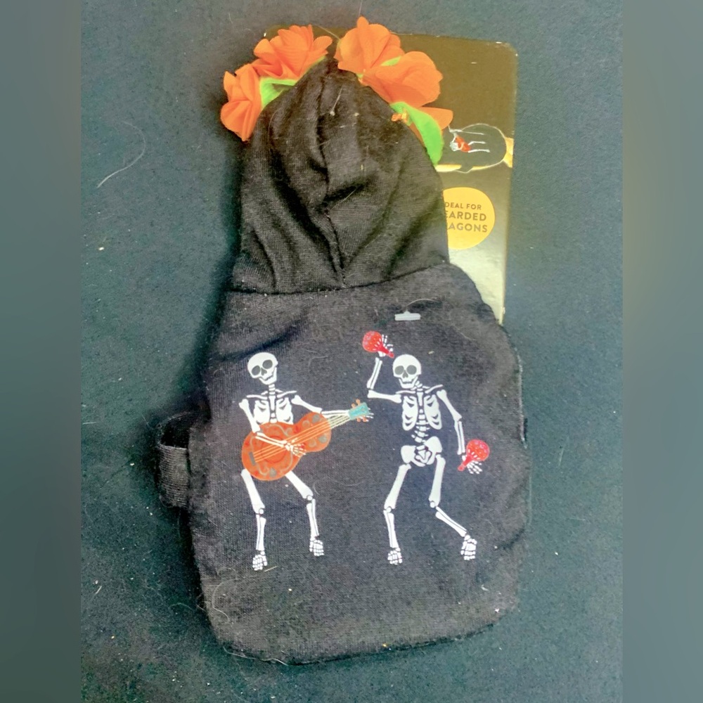 Pet Costume